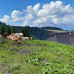 The Mountain Apartmán *