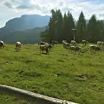 Apartmán The Mountain