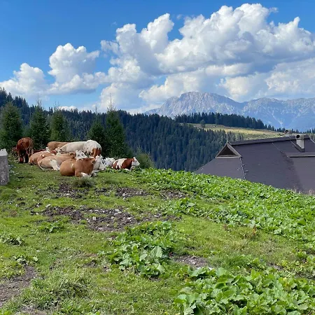 The Mountain Appartement *