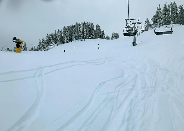 The Mountain * הרמגור