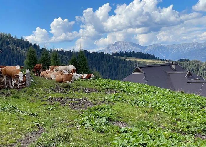 The Mountain Appartement *