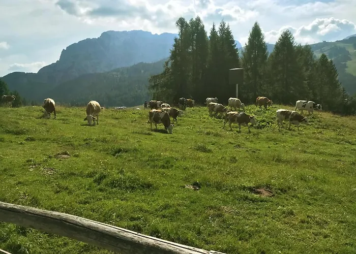 Appartement The Mountain